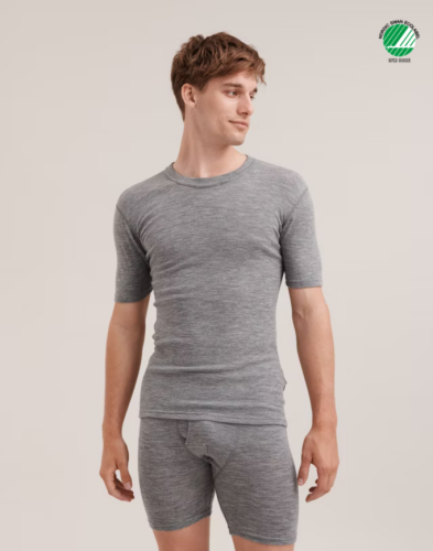 Screenshot 2024-11-10 at 19-06-33 Men's merino wool T-shirt - Grey melange - Dilling.png