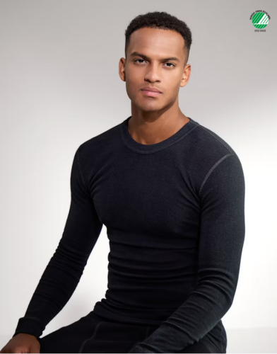 Screenshot 2025-09-23 at 21-13-19 Men's merino wool long sleeve top - Free shipping - Dilling.png