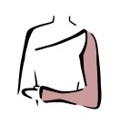 Rękaw kompresyjny uciskowy z dłonią i paskiem II klasy kompresji - 25-40mmHg - na obrzęki limfatyczne, pooperacyjny, po mastektomii, do terapii kompresyjnej - UNISEX  - prod. Albert Andrè 