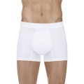 boxerbiałe.jpg
